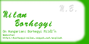 milan borhegyi business card